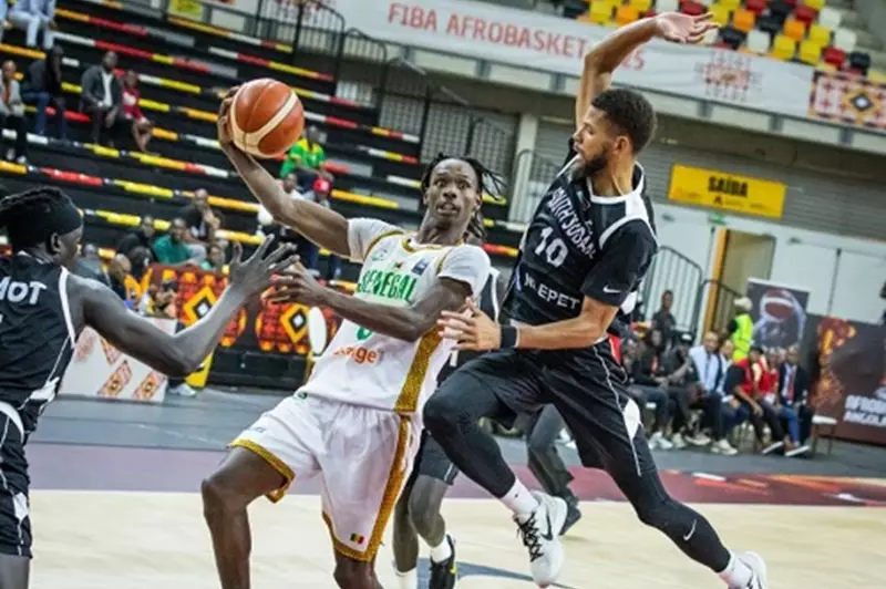 مسار المنتخب المصري في بطولة الأفروباسكت 2025: آمال وتحديات المرحلة القادمة